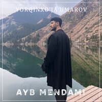 Ayb mendami