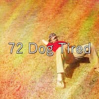 72 Dog Tired