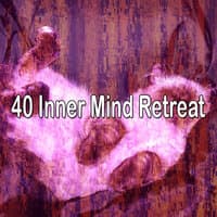 40 Inner Mind Retreat