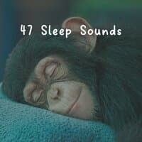 47 Sleep Sounds