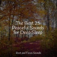 The Best 25 Peaceful Sounds for Deep Sleep