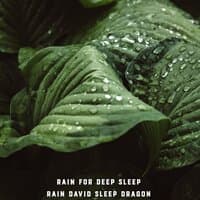 Rain for Deep Sleep