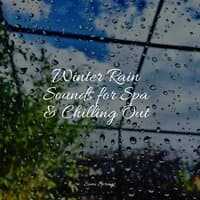 Winter Rain Sounds for Spa & Chilling Out