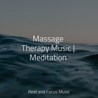 Massage Therapy Music | Meditation