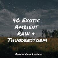 40 Exotic Ambient Rain & Thunderstorms