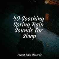 40 Soothing Spring Rain Sounds for Sleep