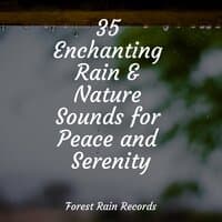 35 Enchanting Rain & Nature Sounds for Peace and Serenity