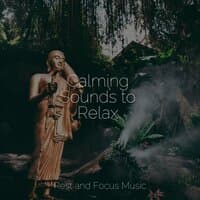 Calming Sounds to Relax