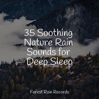 35 Soothing Nature Rain Sounds for Deep Sleep