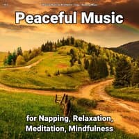 #01 Peaceful Music for Napping, Relaxation, Meditation, Mindfulness