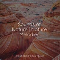 Sounds of Nature | Nature Melodies