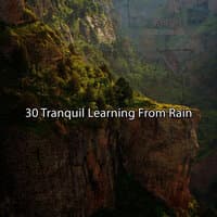 30 Tranquil Learning From Rain