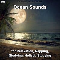 #01 Ocean Sounds for Relaxation, Napping, Studying, Holistic Studying