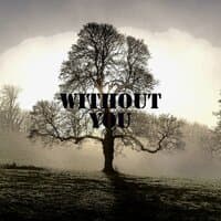 Without You