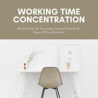 Working Time Concentration: White Noise for Focusing, Nature Sounds for Home Office Comfort