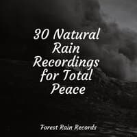 30 Natural Rain Recordings for Total Peace