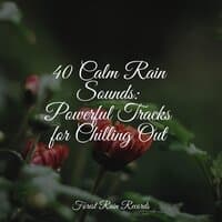 40 Calm Rain Sounds: Powerful Tracks for Chilling Out