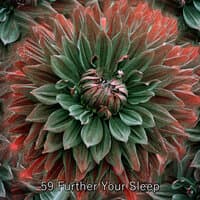 59 Further Your Sleep