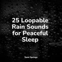 25 Loopable Rain Sounds for Peaceful Sleep