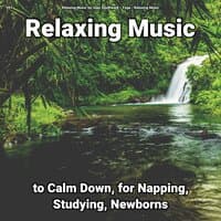 #01 Relaxing Music to Calm Down, for Napping, Studying, Newborns