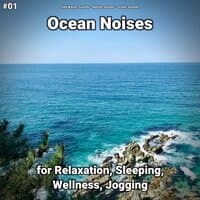 #01 Ocean Noises for Relaxation, Sleeping, Wellness, Jogging