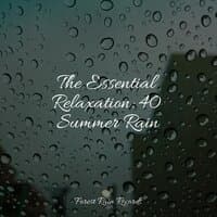 The Essential Relaxation: 40 Summer Rain