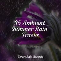 35 Ambient Summer Rain Tracks