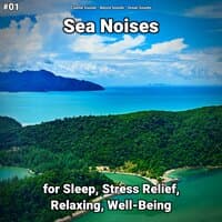 #01 Sea Noises for Sleep, Stress Relief, Relaxing, Well-Being