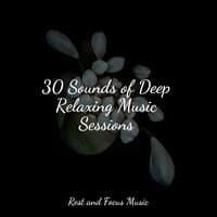 30 Sounds of Deep Relaxing Music Sessions