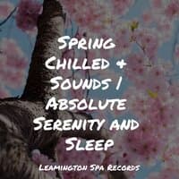 Spring Chilled & Sounds | Absolute Serenity and Sleep