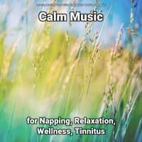 Calm Music for Napping, Relaxation, Wellness, Tinnitus