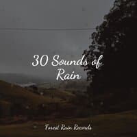 30 Sounds of Rain