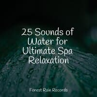 25 Sounds of Water for Ultimate Spa Relaxation