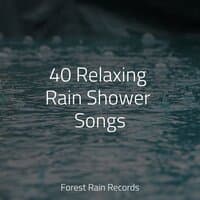 40 Relaxing Rain Shower Songs