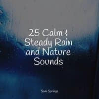 25 Calm & Steady Rain and Nature Sounds