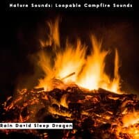 Nature Sounds: Loopable Campfire Sounds