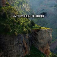 45 Your Sounds For Sleeping