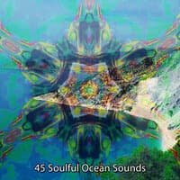 45 Soulful Ocean Sounds