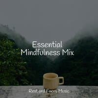 Essential Mindfulness Mix