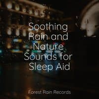 Soothing Rain and Nature Sounds for Sleep Aid