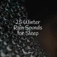 25 Winter Rain Sounds for Sleep