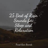 25 Best of Rain Sounds for Sleep and Relaxation