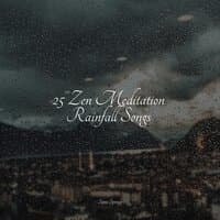 25 Zen Meditation Rainfall Songs