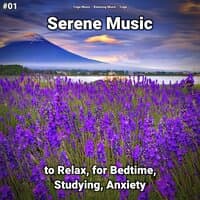 #01 Serene Music to Relax, for Bedtime, Studying, Anxiety