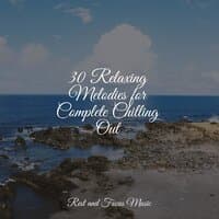 30 Relaxing Melodies for Complete Chilling Out