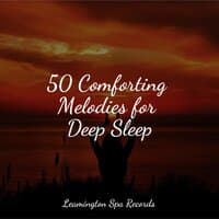 50 Comforting Melodies for Deep Sleep