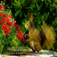 24 плейлиста Quiet Child Natural Music