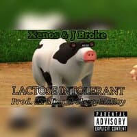 LACTOSE INTOLERANT