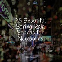 25 Beautiful Spring Rain Sounds for Newborns