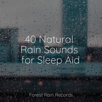 40 Natural Rain Sounds for Sleep Aid